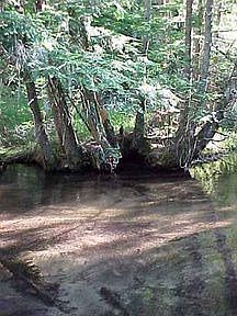 5th image of 7182 Us Highway 131 South NE