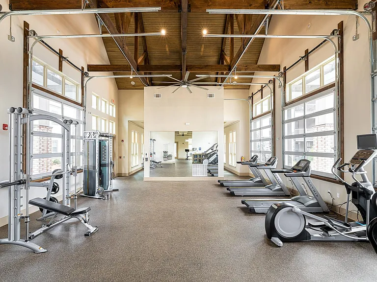 Cardio Equipment