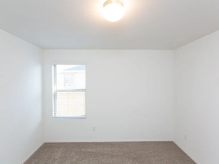 1003 Honey Locust Way — Photo 15