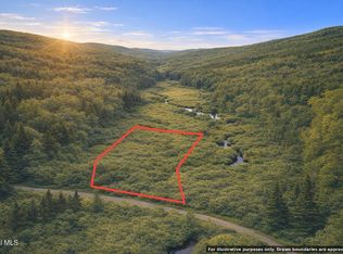 L46 Alder Brook Road, Brant Lake, NY 12815