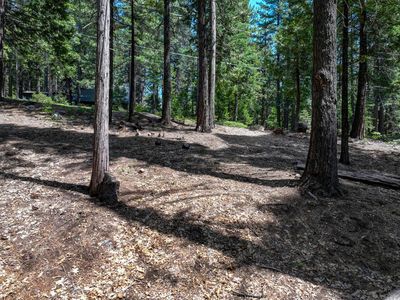 4741 Meko Dr, Camp Connell, CA, 95223