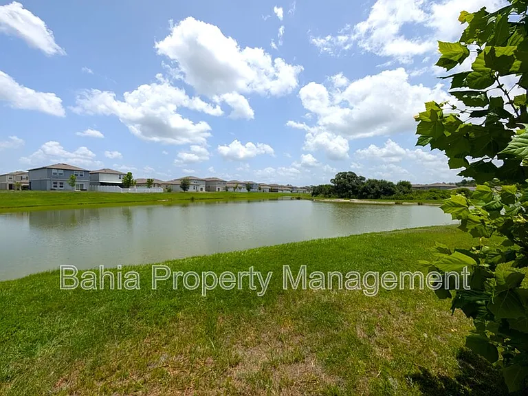 35491 Shade Fern Ln — Photo 19