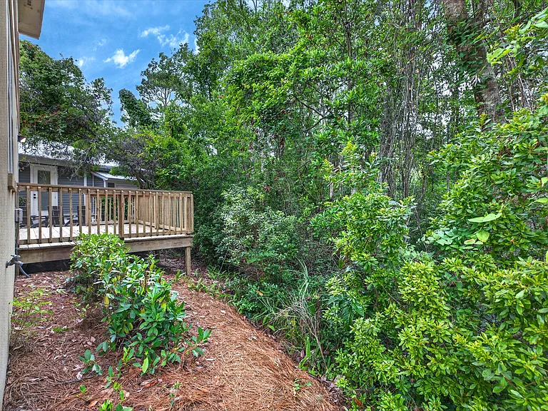 Wooded Lot
