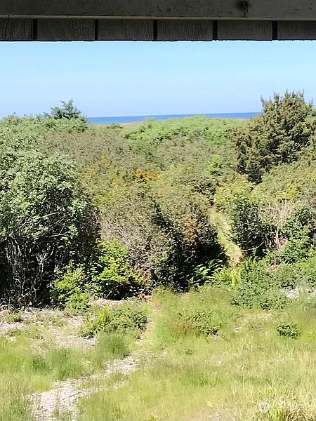 5th image of 835 Ocean Shores Boulevard NW #208