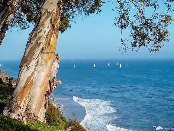 View of the surf from back patio