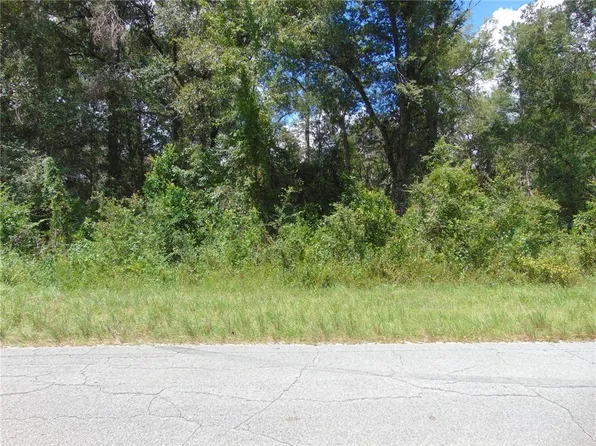 4766 SW 125th Rd, Webster, FL 33597