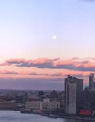 Rented by RSNY Realty