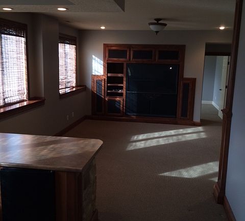 Family rm w/ bar & built-ins