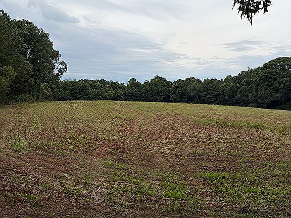 5th image of 700 Corbet Chappelear Rd