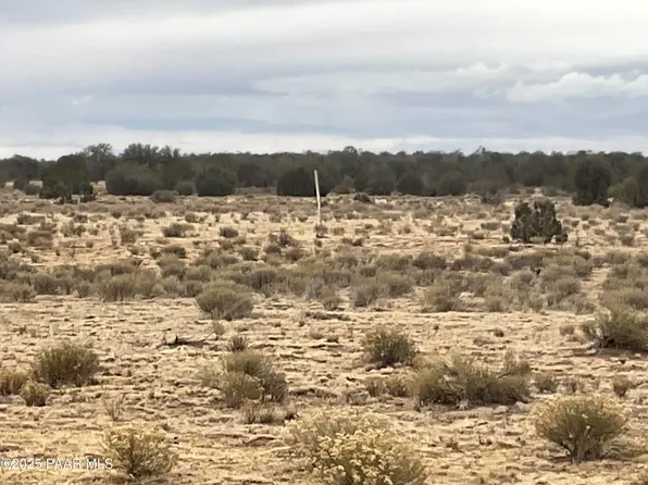 105 Ravens Rest Rd, Seligman, AZ 86337