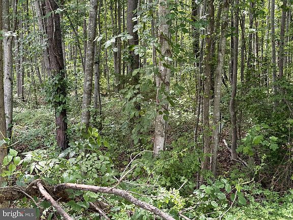4th image of Overton Dr Lot 14