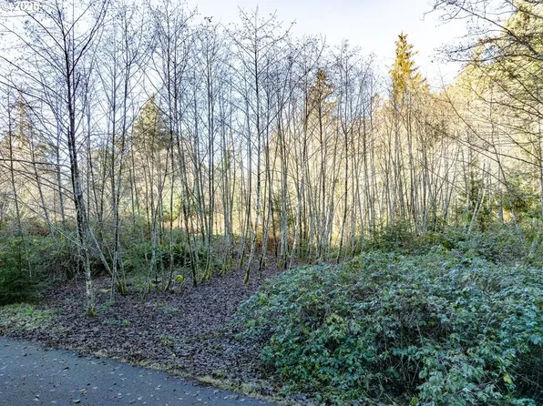 Bay View Rd, Nehalem, OR 97131