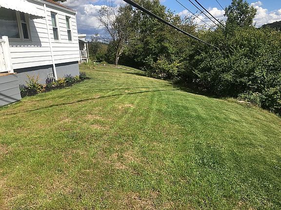 Front yard