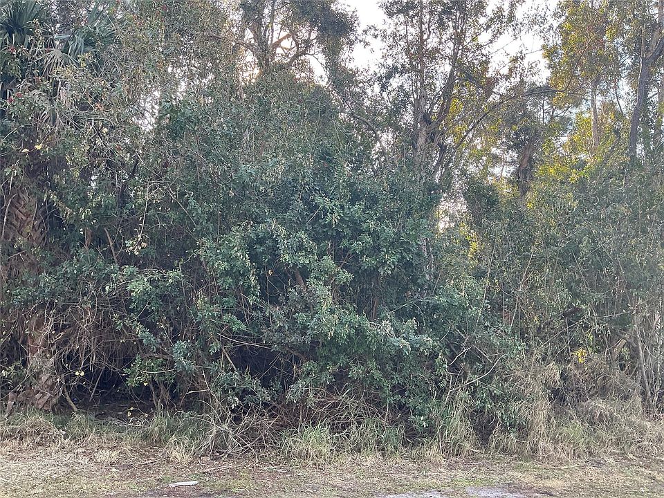 1st image of 557 Drawdy Way