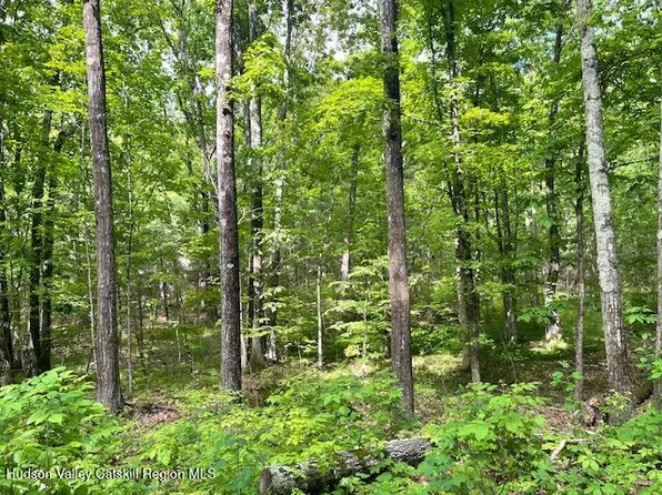 L-6 N Joel M Austin Road N, Cairo, NY 12413