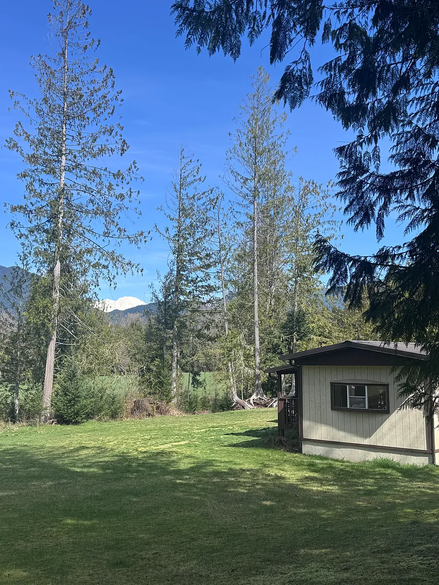 Quiet and secluded with a view of Mt Rainier. Large unfenced front yard - 238 Skinner Rd