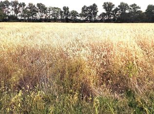 1682 E Coon Creek Rd, Flora, IL 62839