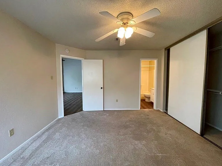 16719 Whitebrush Loop — Photo 29