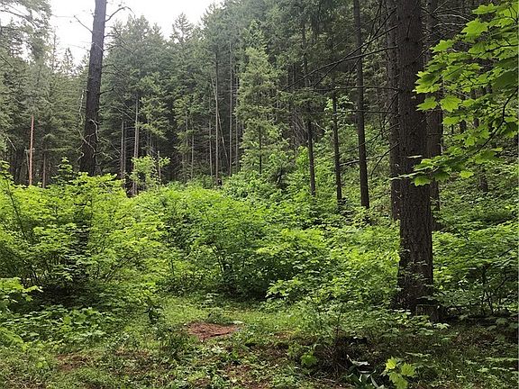 2nd image of 13555 Chumstick Hwy