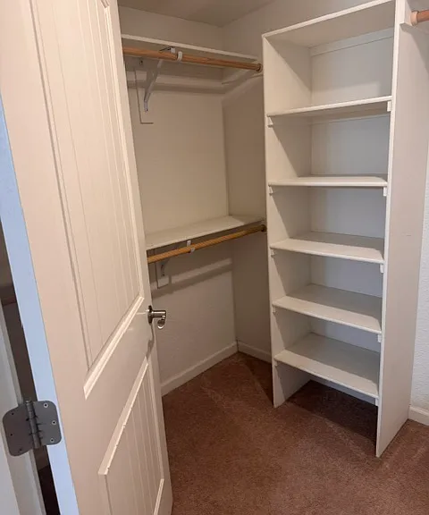Primary Closet