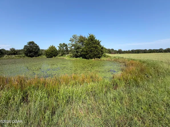 0 Highway Y, Seneca, MO 64865