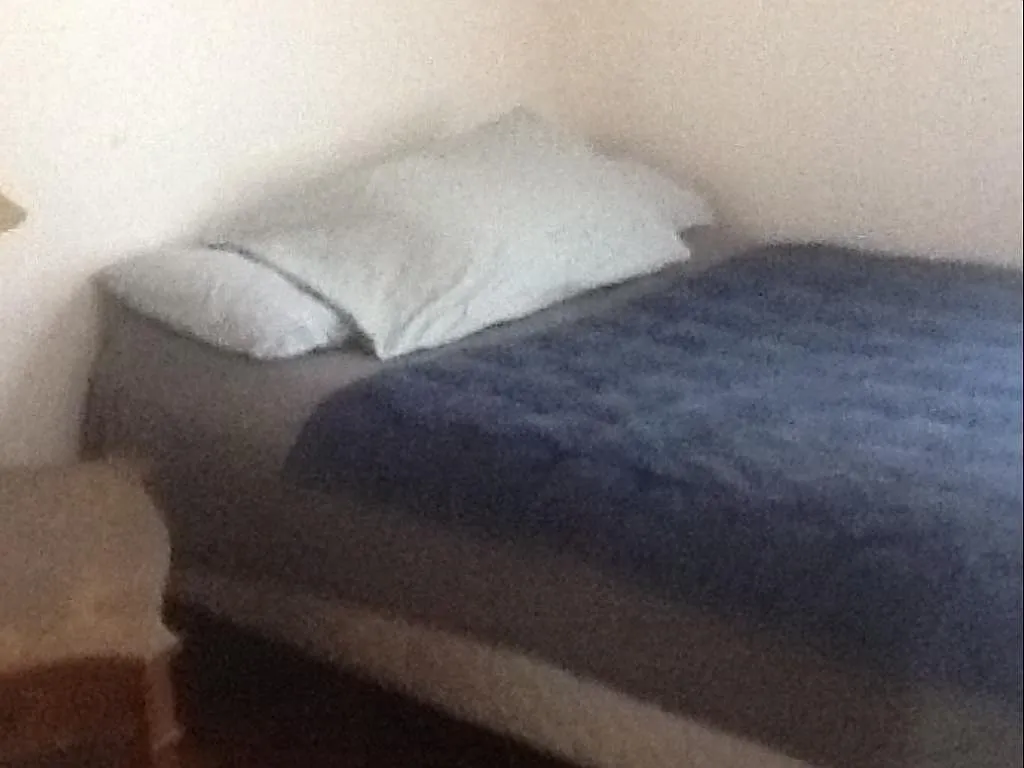 3 bed, 3646 sqft, $1,500 — Photo 3