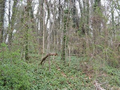 41 Hilltop Rd, Spring City, TN, 37381