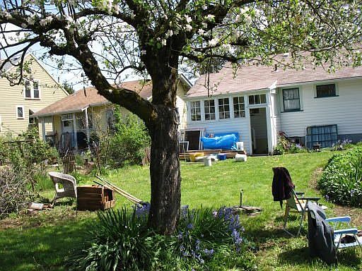 back yard