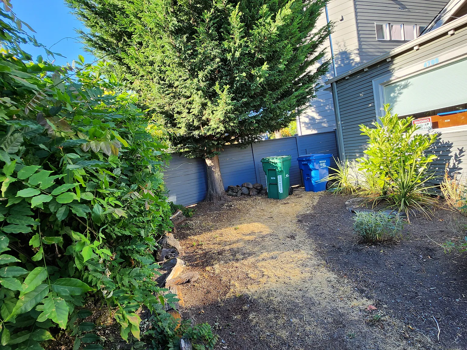 2 bed, 200 sqft, $920 — Photo 2