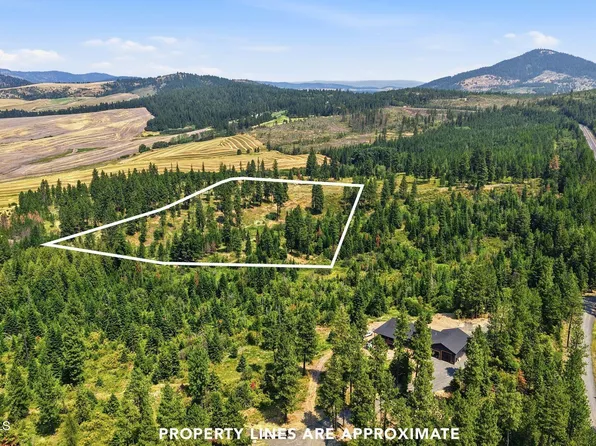 9.5 Acres Ranch Rd, Plummer, ID 83851