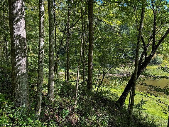 24th image of this home