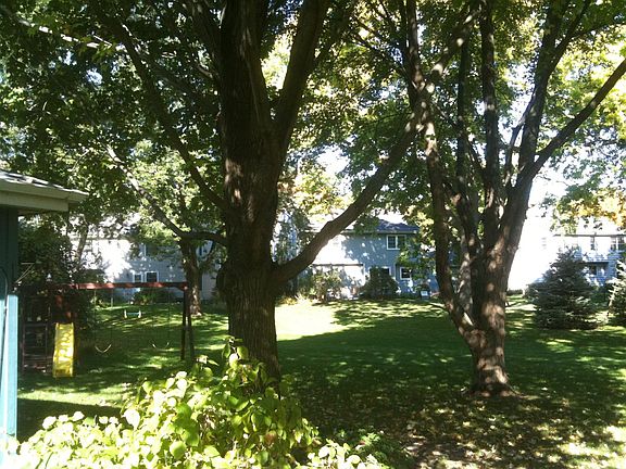 Backyard, mature trees, playset