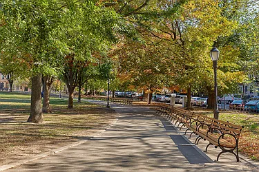 Mason Gray at 955 Sterling Place in Crown Heights