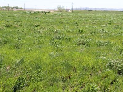 Keys Cove Loop #L7R, Ray, ND, 58849