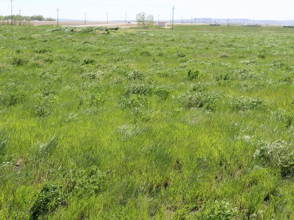 Keys Cove Loop #L7r, Ray, ND 58849