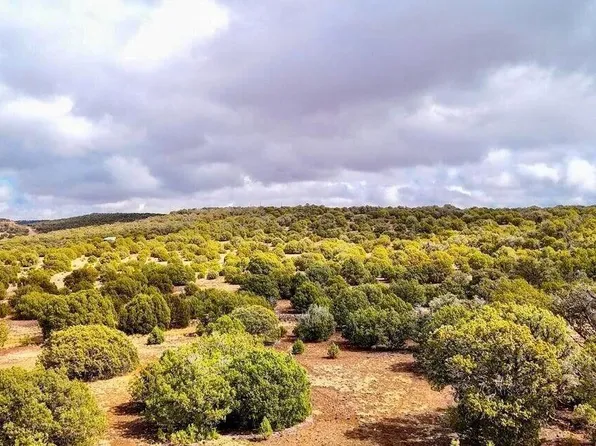 County Road 8256 Lot D, Concho, AZ 85924