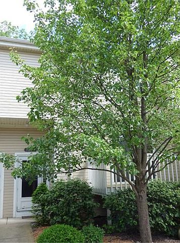 1st image of 5854 Shore Ct #1