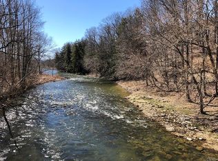 6562 Charlotte Creek Rd, Davenport, NY 13750