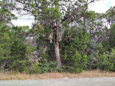 333 EAGLE ROCK RD LOT 15, Spring Branch, TX, 78070