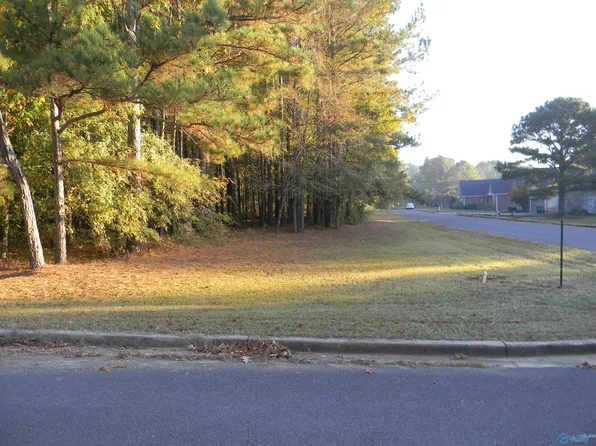 LOT 27 Taylor Ridge Rd, Leesburg, AL 35983