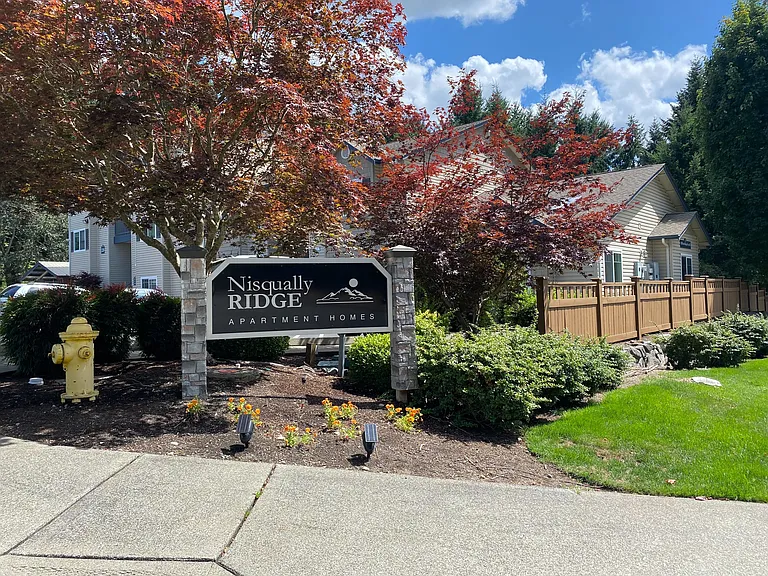 Nisqually Ridge — Photo 43