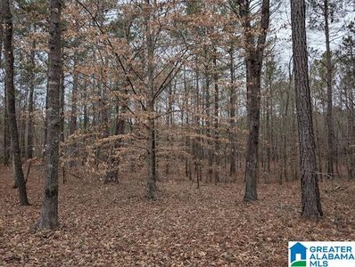 4 Browns Valley Rd #4, Pell City, AL, 35128