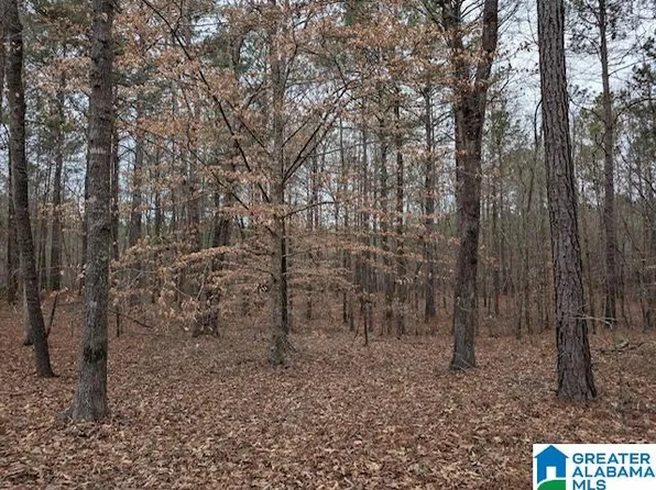 4 Browns Valley Rd #4, Pell City, AL 35128