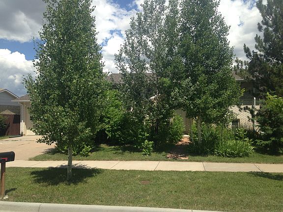 2nd image of 1617 Bill Nye Ave