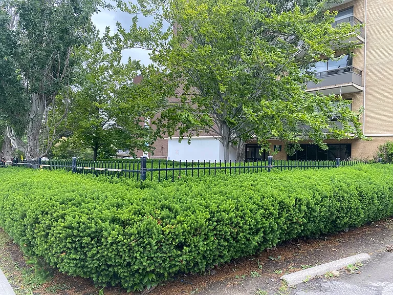 42 Gulliver Rd — Photo 13
