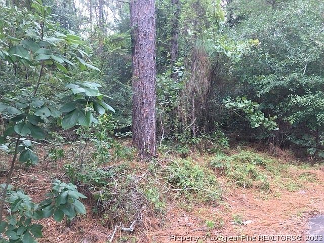 1st image of 6505 Countryside Dr