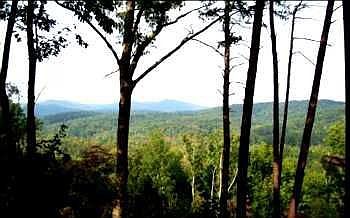 1st image of 310 Trembly Bald Dr
