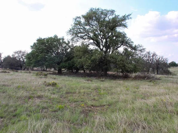 156 Nantan Ln, Harper, TX 78631