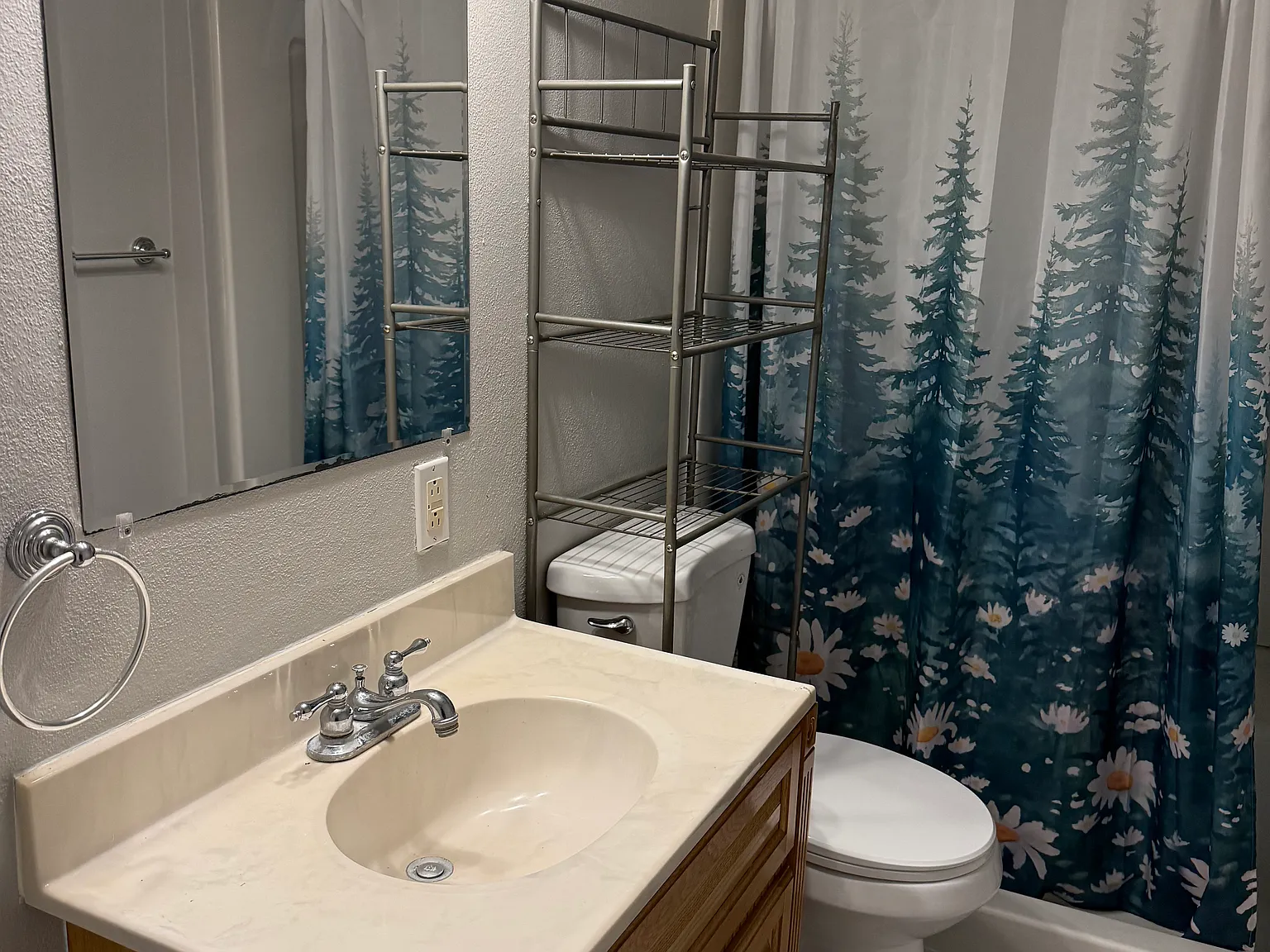 1 bed, 800 sqft, $900 — Photo 3
