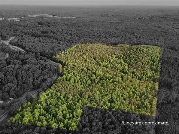 203 Tucker Rd, Lynn, AL 35575